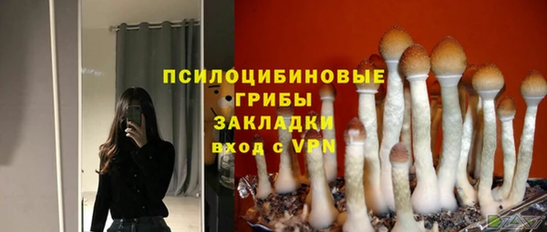 мет Магас