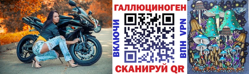 Псилоцибиновые грибы прущие грибы  Нижний Ломов 